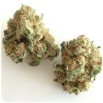 Шишки "White Widow"  (Белая вдова)  Гидропоника -  Бошка VHQ в Славске